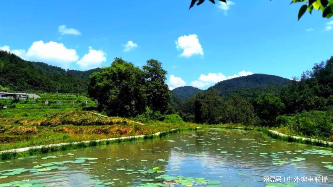 抖音涨站自助平台：自媒体运营快速增粉实战指南_在线下单