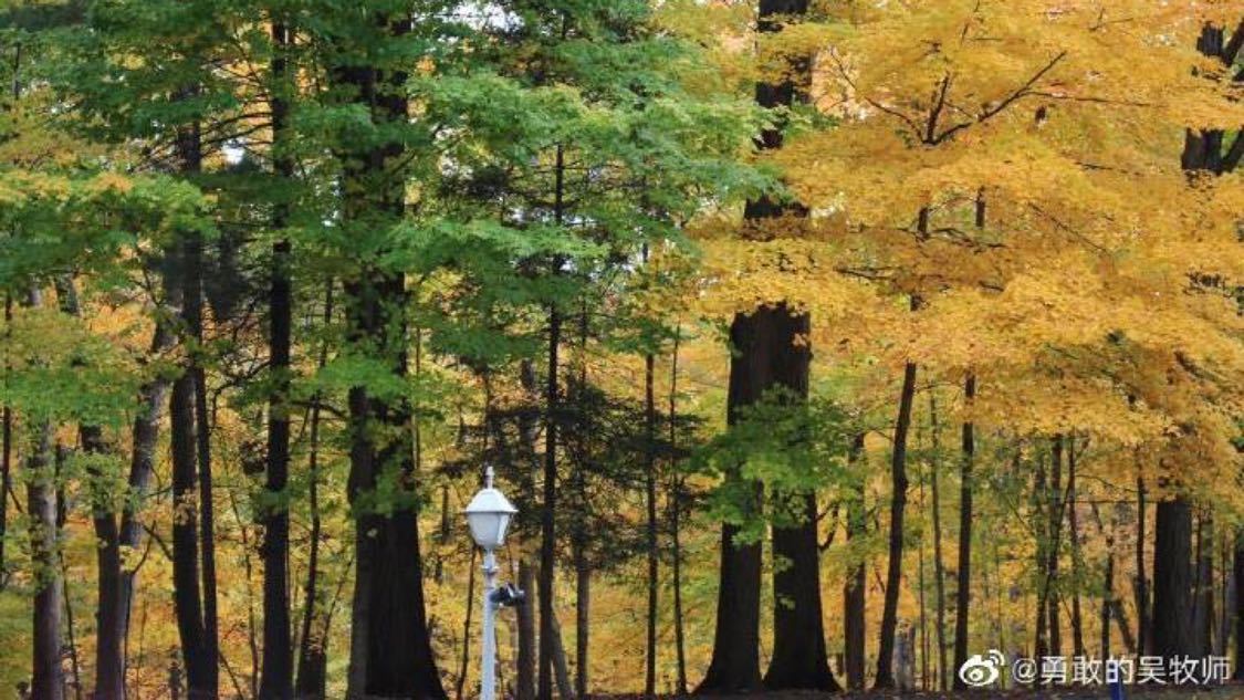 泰高空走廊被震断男子奋力跳向对面