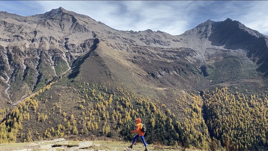 抖音业条自助下单平台